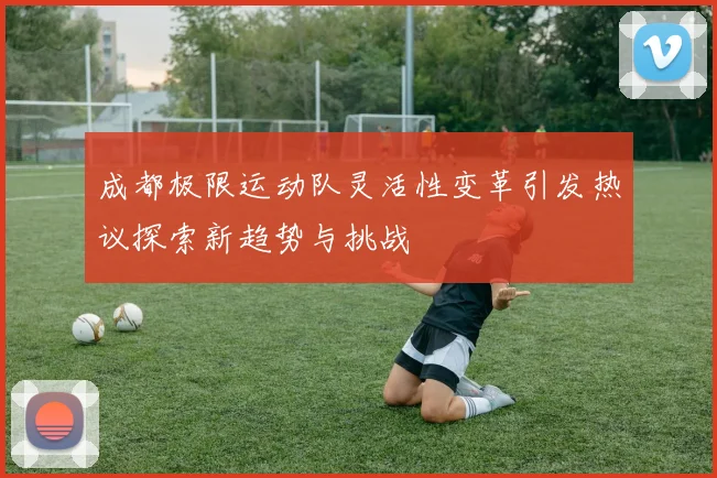 成都极限运动队灵活性变革引发热议探索新趋势与挑战