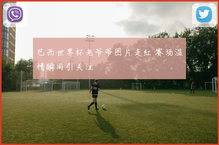 巴西世界杯老爷爷图片走红 赛场温情瞬间引关注